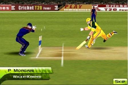 cricket fever HD wvga android free game download